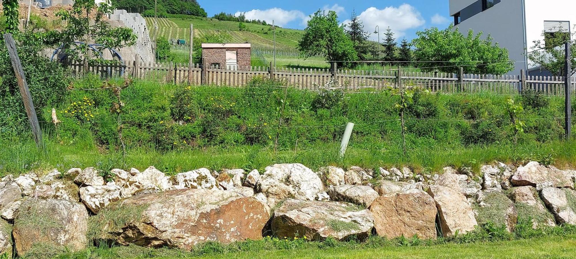Huettenflair-Mosel Ferienwohnung เอนเคิร์ช ภายนอก รูปภาพ